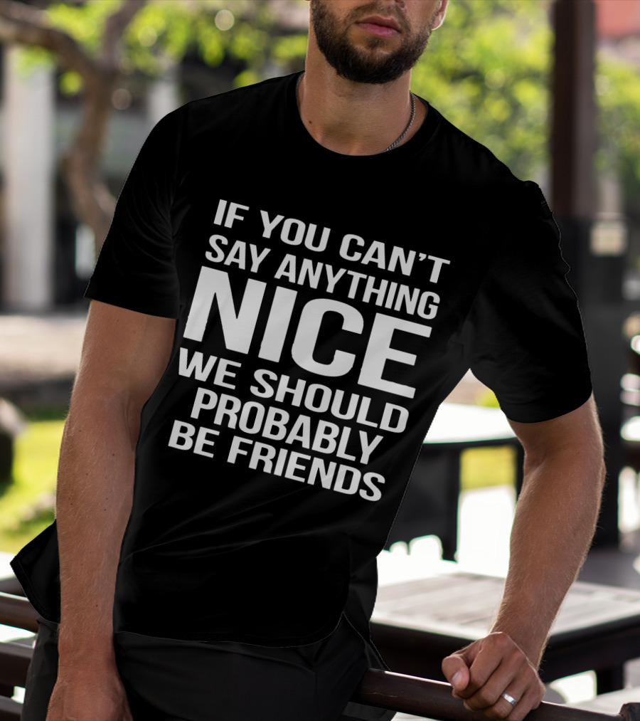 IF YOU CAN'T SAY ANYTHING NICE WE SHOULD PROBABLY BE FRIENDS T-Shirt