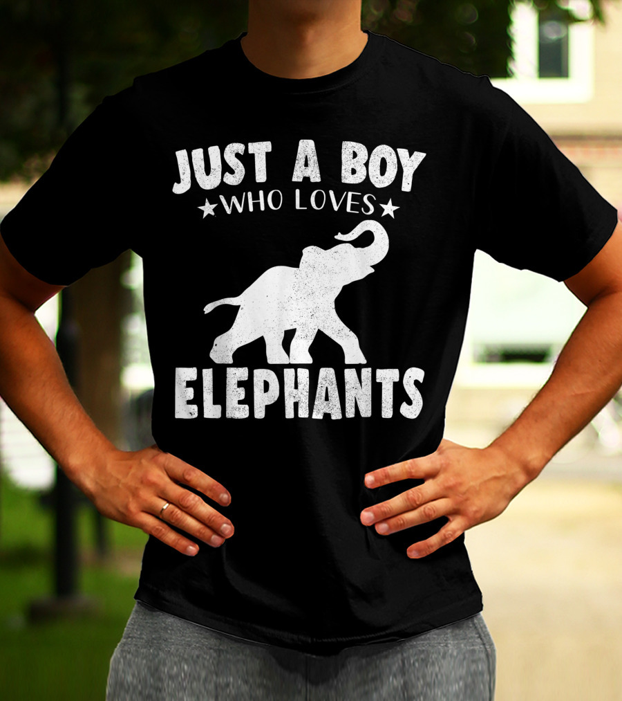 Just A Boy Who Loves Elephants Cool Animals Lover Basic T-Shirt