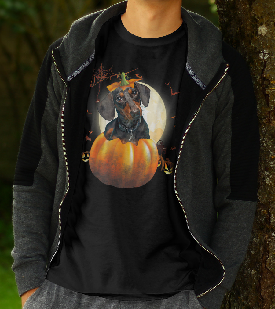 Halloween Funny Dachshund Pumpkin Moon Bats Spiderweb T-Shirt