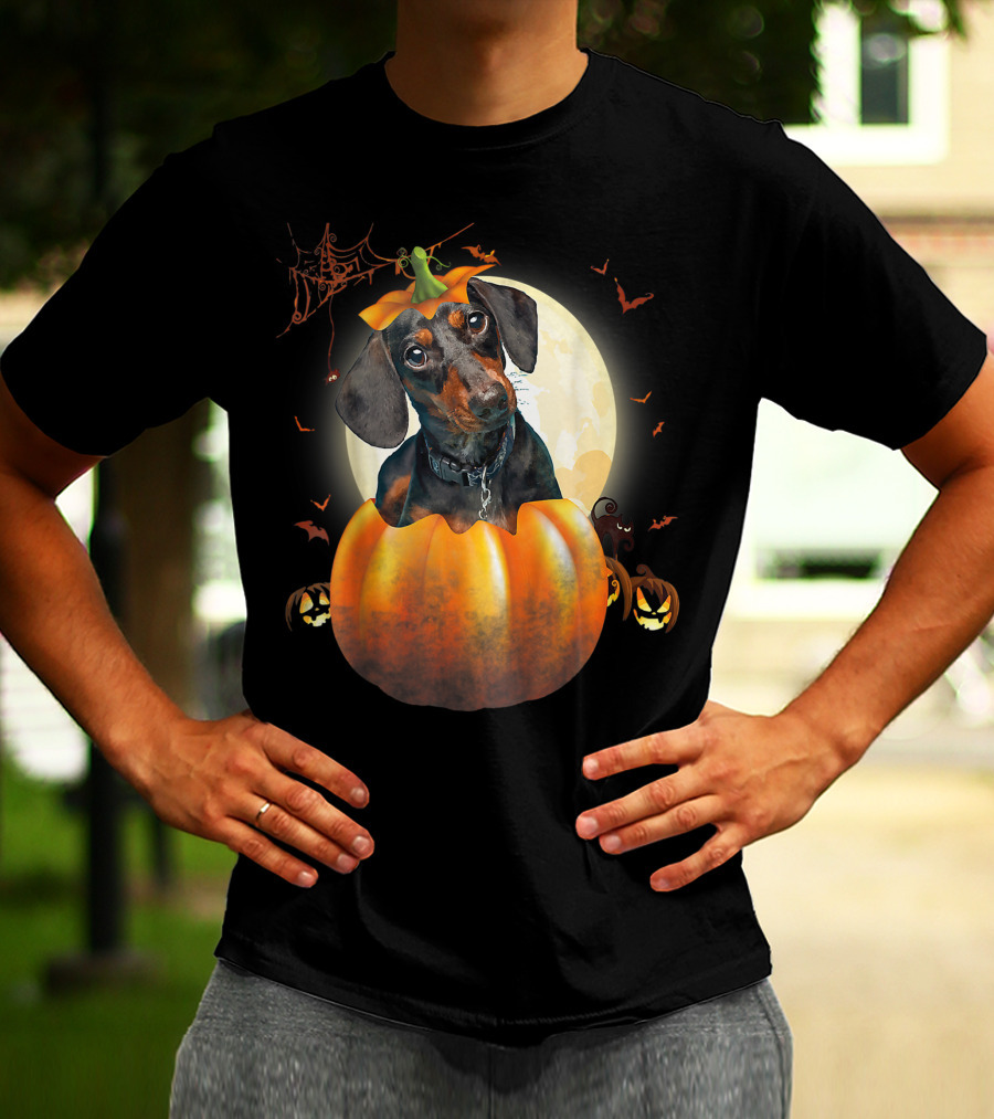 Halloween Funny Dachshund Pumpkin Moon Bats Spiderweb T-Shirt