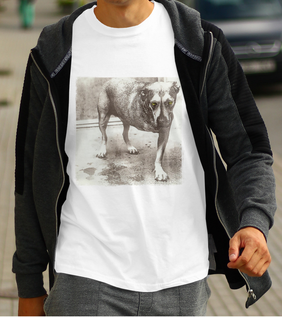 Dog With Yellow Eyes Aic T-Shirt