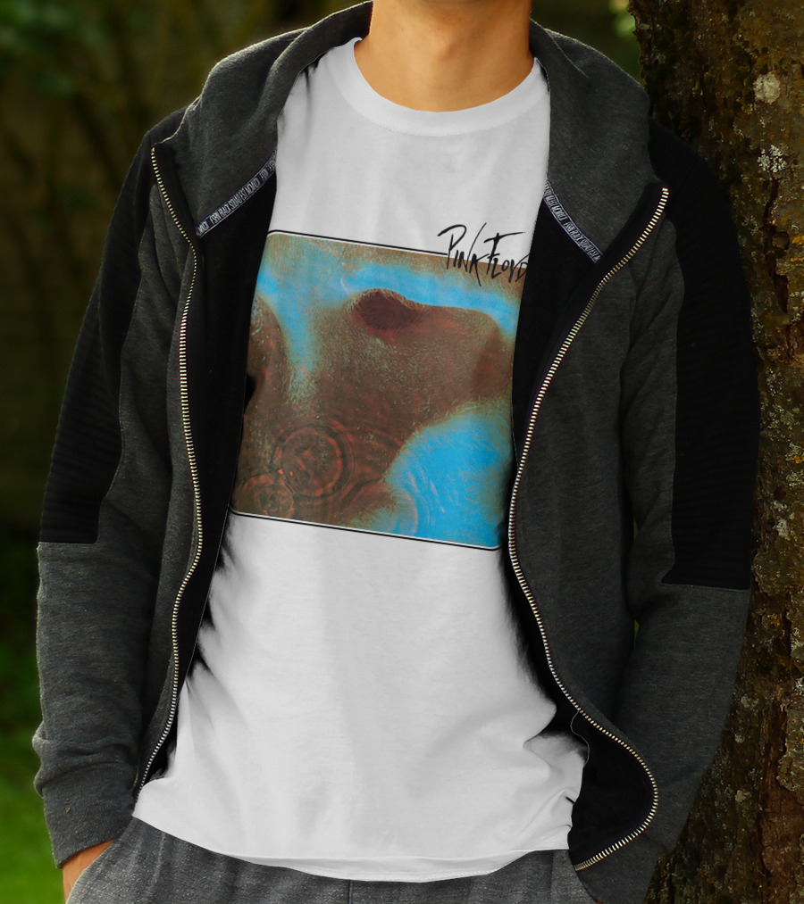 Pink Floyd Meddle Album Art T-Shirt