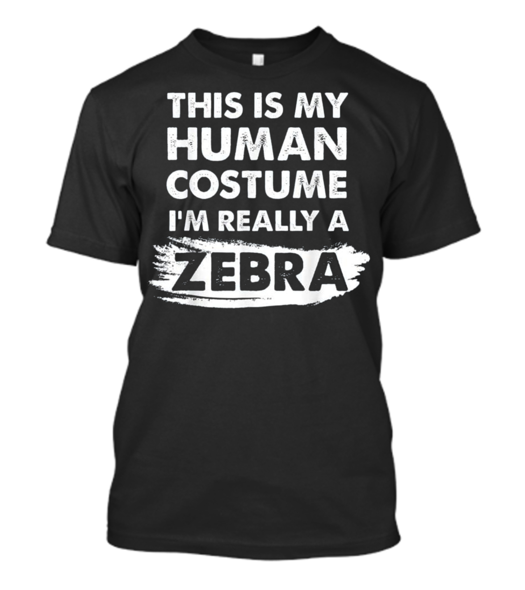 This Is My Human Costume I'm Really A Zebra Fun T-Shirt