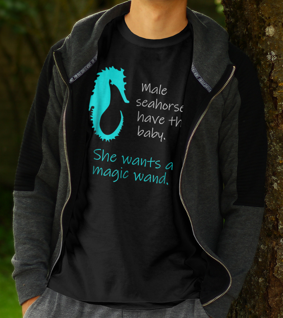 Male Seahorses Have The Baby She Wants A Magic Wand Dad To Be Maternity Tee96 T-Shirt