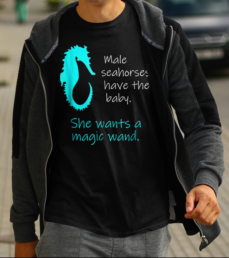 Male Seahorses Have The Baby She Wants A Magic Wand Dad To Be Maternity Tee96 T-Shirt