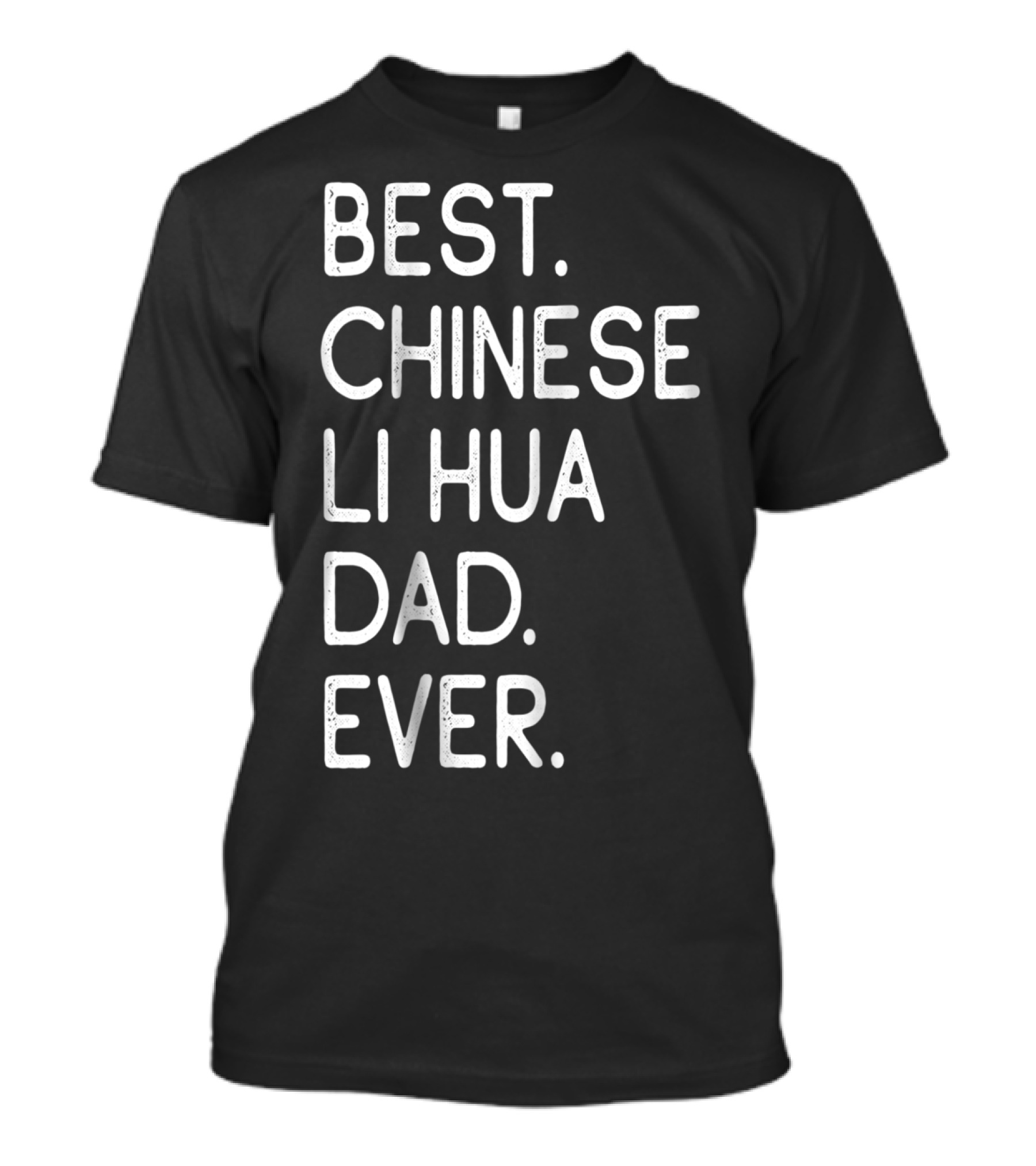 Best Chinese Li Hua Dad Ever Kitten Lovers Owner T-Shirt