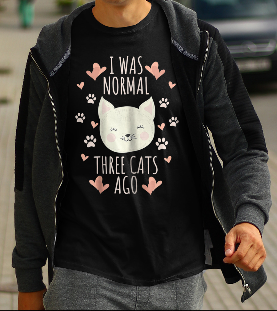 I Was Normal Three Cats Ago Cat Mom Crazy Cat Lady Hearts And Paw Prints T-Shirt