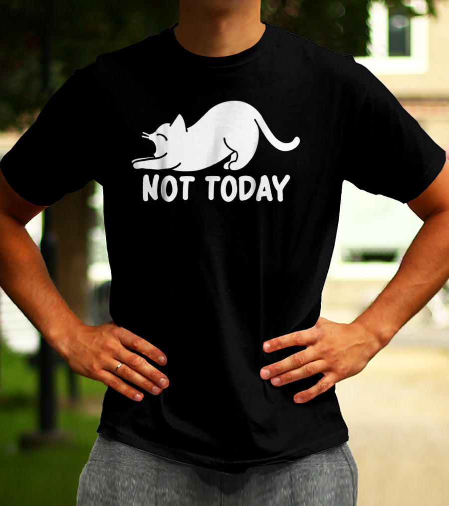 Lazy Cat Not Today Cat Lovers Cat Lady Cat T-Shirt