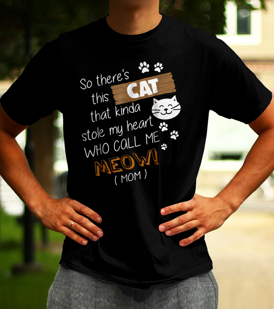 So There's This Cat That Kinda Stole My Heart Who Call Me Meow Mom T-Shirt