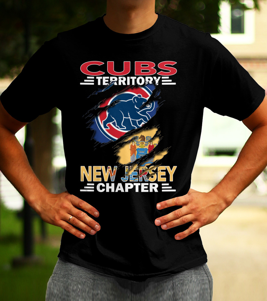 Cubs Territory New Jersey Chapter Breakthrough Emblem With State Flag And Bear T-Shirt