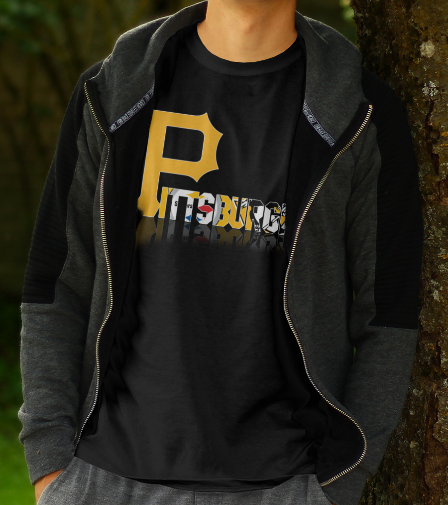 Pittsburgh Steelers Penguins Logos Reflected Contrasts T-Shirt
