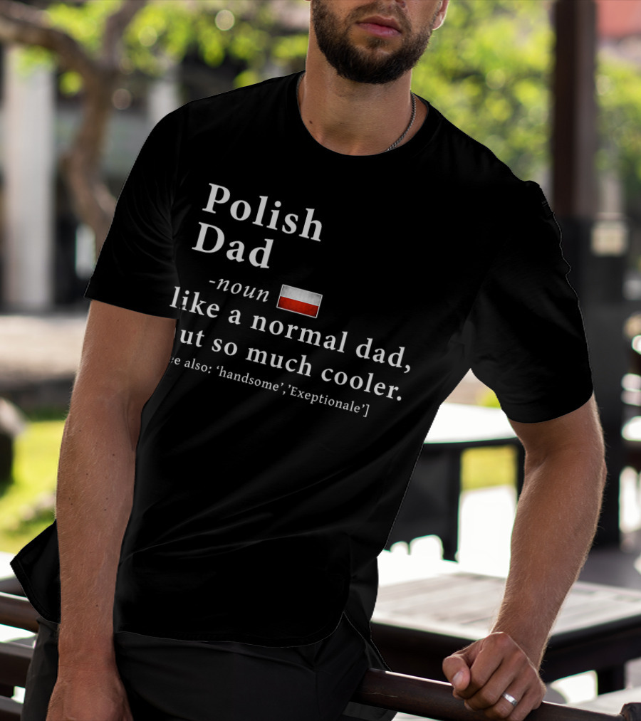 Polish Dad Noun Like A Normal Dad But So Much Cooler Handsome Exceptionale Polish Flag T-Shirt