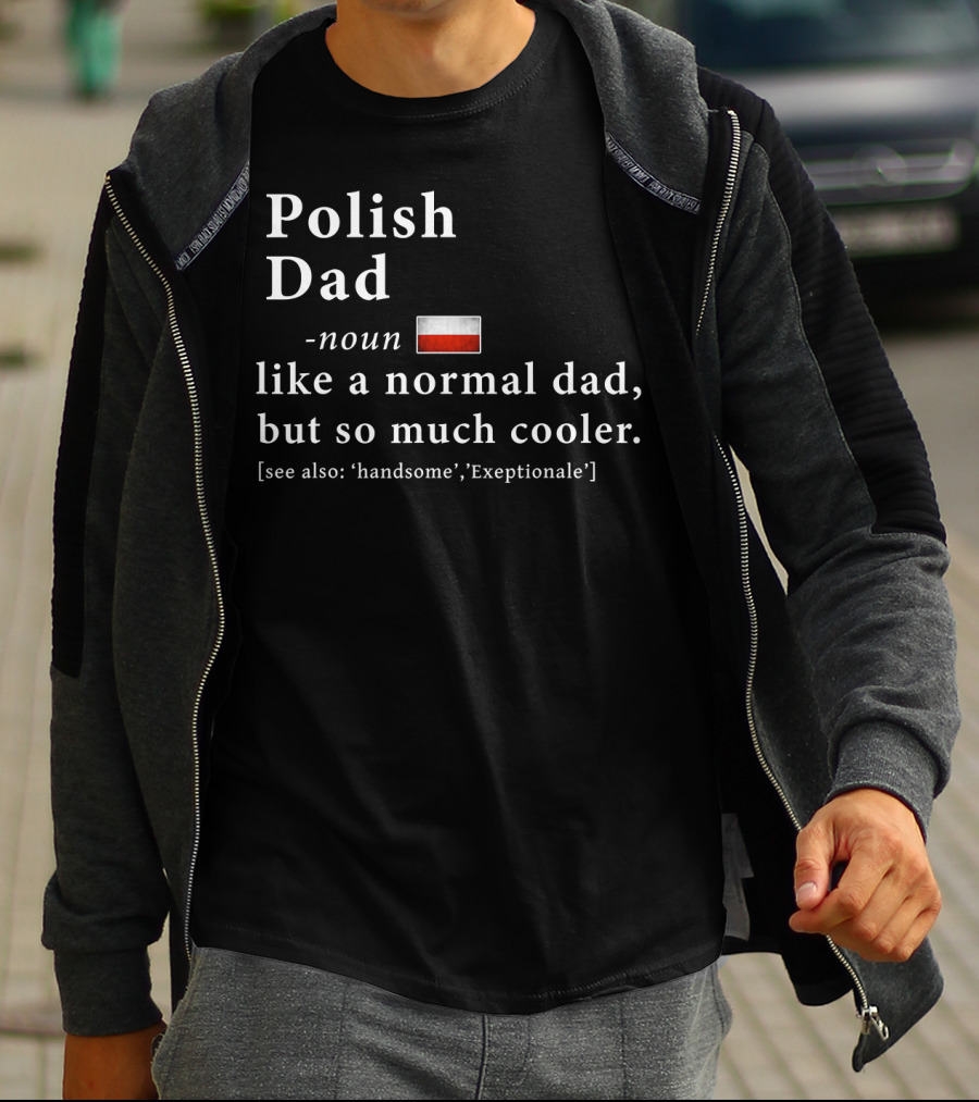 Polish Dad Noun Like A Normal Dad But So Much Cooler Handsome Exceptionale Polish Flag T-Shirt