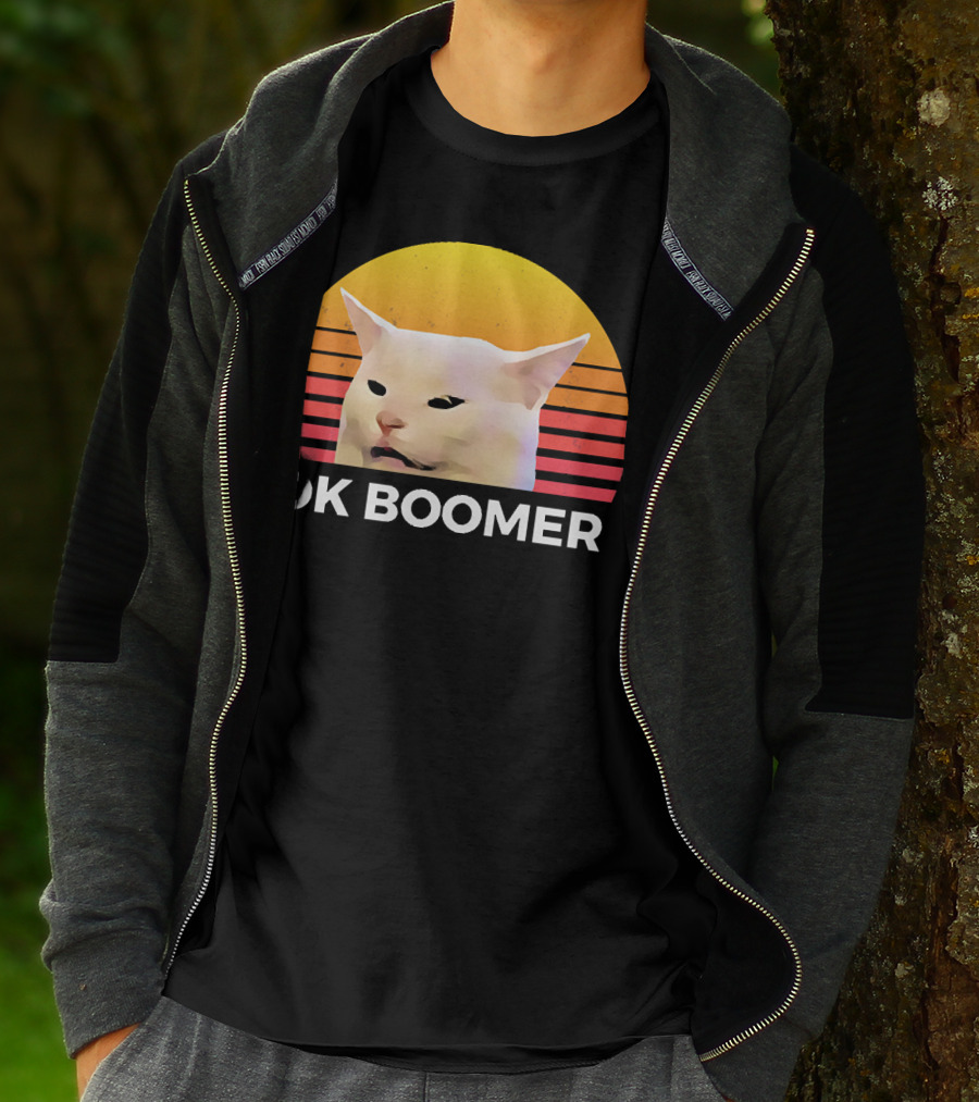 Cat Ok Boomer Retro Sunset T-Shirt