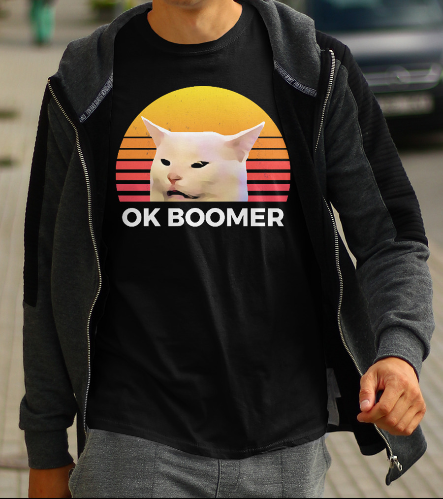 Cat Ok Boomer Retro Sunset T-Shirt