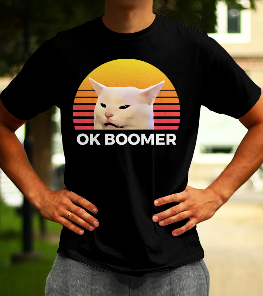 Cat Ok Boomer Retro Sunset T-Shirt