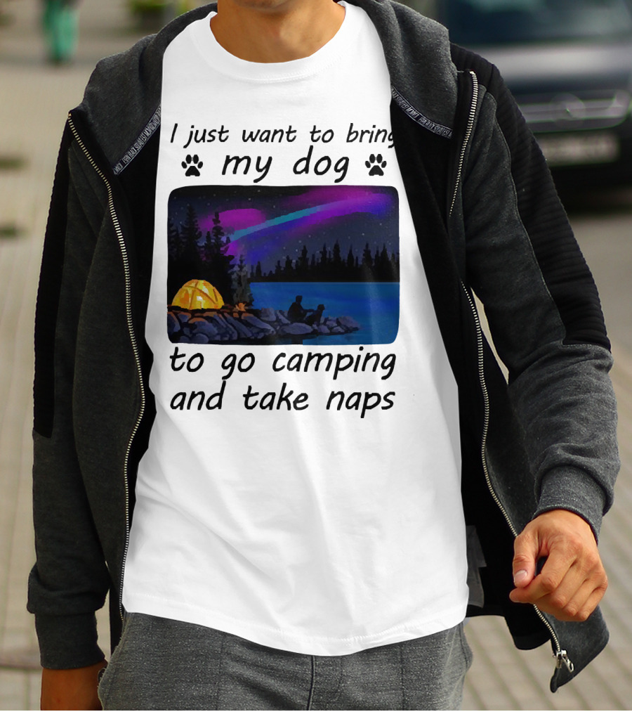 I Just Want To Bring My Dog To Go Camping And Take Naps With Aurora Borealis And Tent By Lake T-Shirt