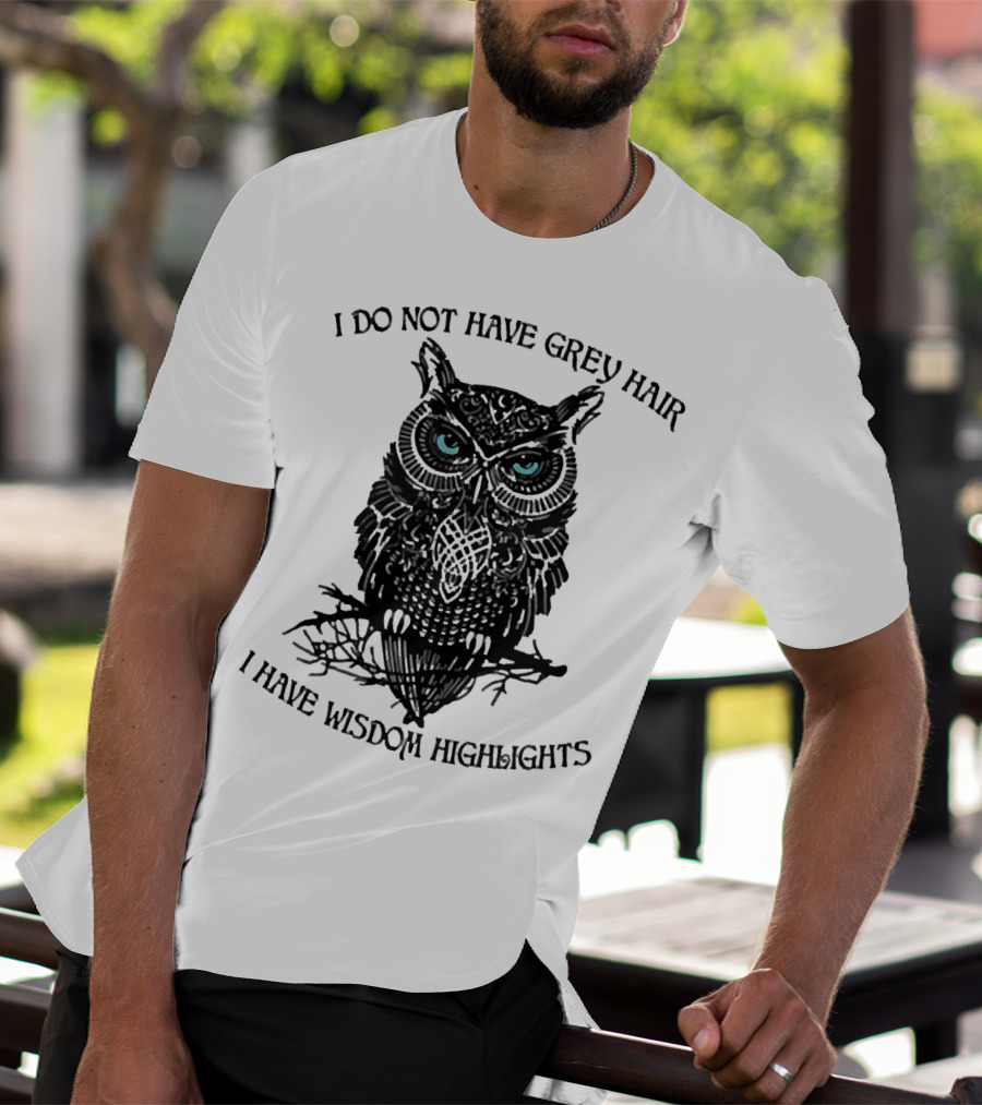 I Do Not Have Grey Hair Owl I Have Wisdom Highlights T-Shirt