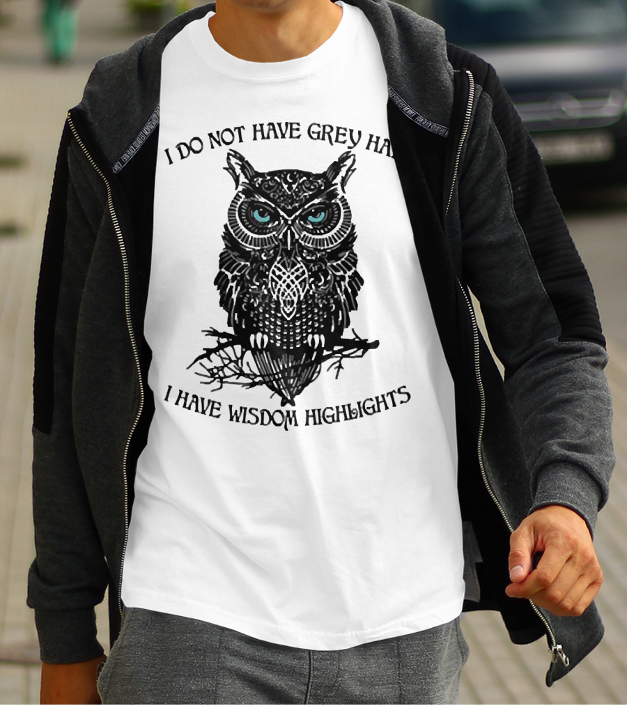 I Do Not Have Grey Hair Owl I Have Wisdom Highlights T-Shirt