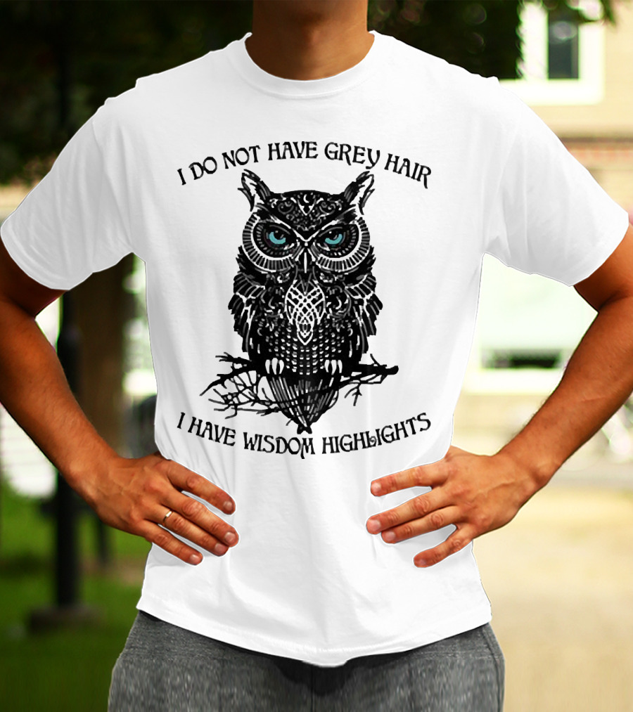I Do Not Have Grey Hair Owl I Have Wisdom Highlights T-Shirt