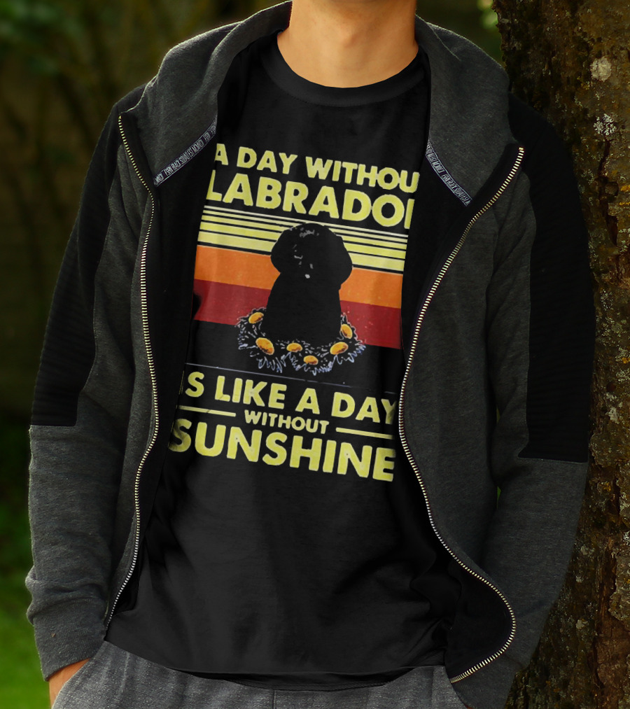 A Day Without Labrador Is Like A Day Without Sunshine Retro Sunset T-Shirt