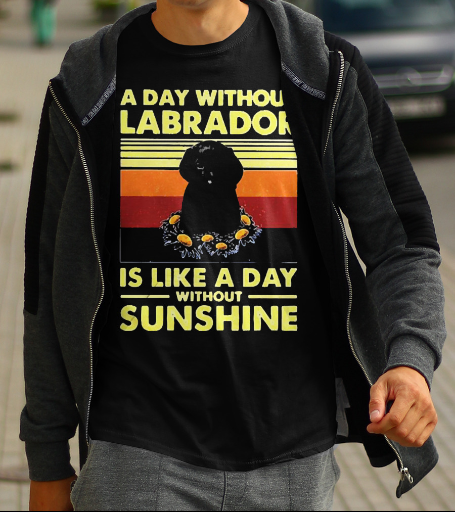 A Day Without Labrador Is Like A Day Without Sunshine Retro Sunset T-Shirt