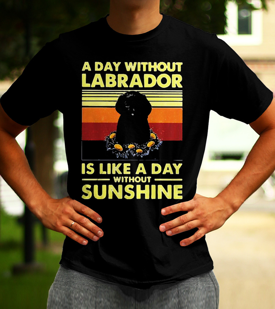 A Day Without Labrador Is Like A Day Without Sunshine Retro Sunset T-Shirt