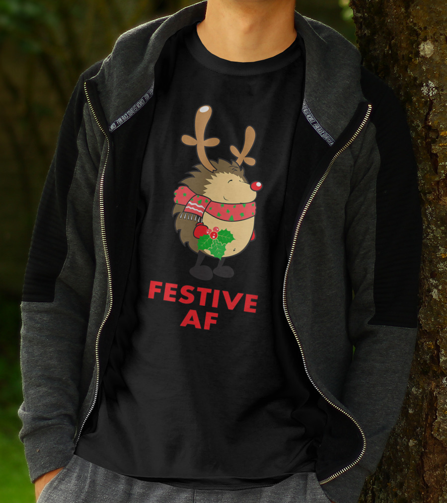 Festive AF Christmas Hedgehog With Scarf And Antlers T-Shirt