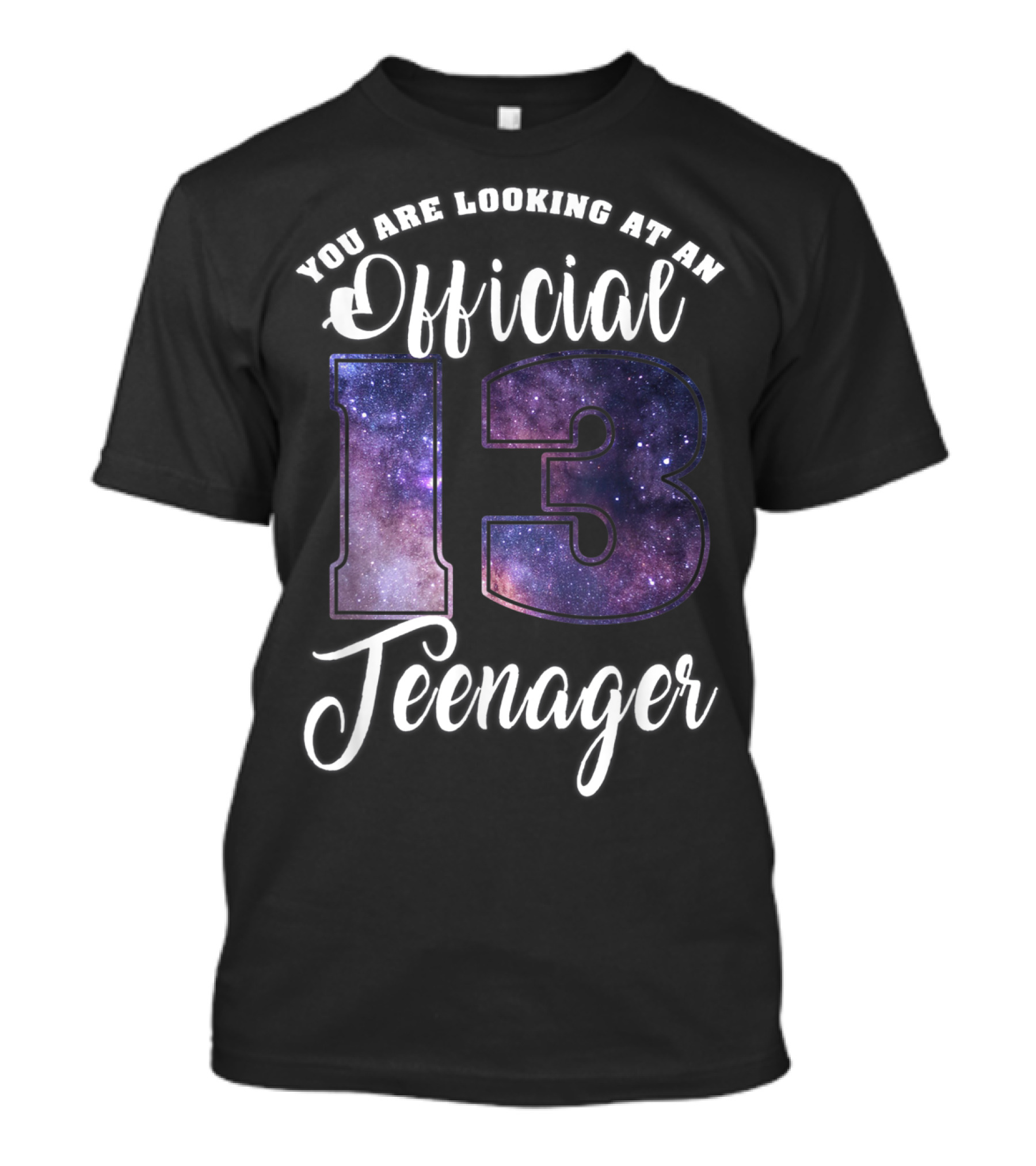 You Are Looking At An Official 13 Teenager T-Shirt