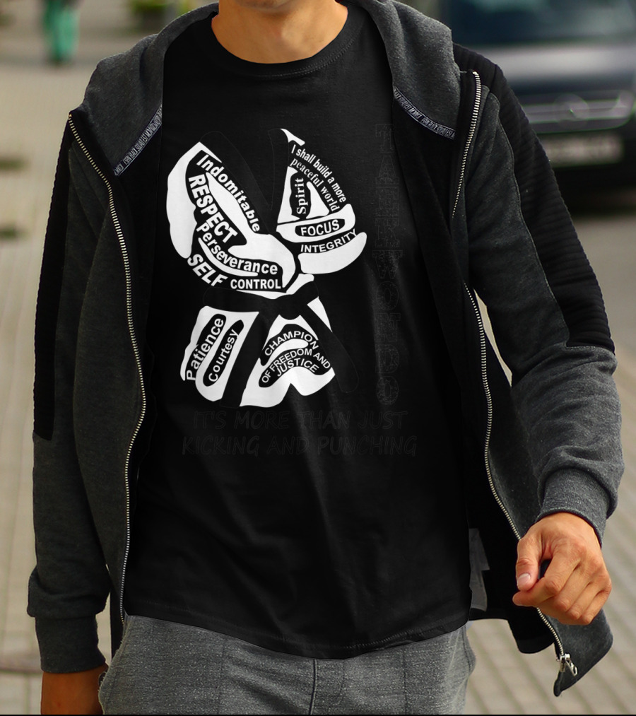 Taekwondo More Than Just Kicking And Punching Respect Perseverance Self-Control Integrity T-Shirt