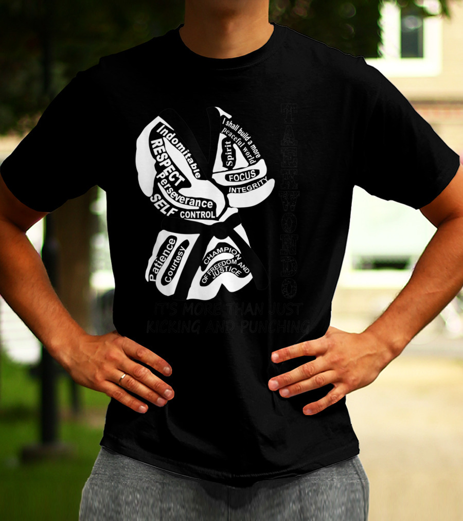 Taekwondo More Than Just Kicking And Punching Respect Perseverance Self-Control Integrity T-Shirt
