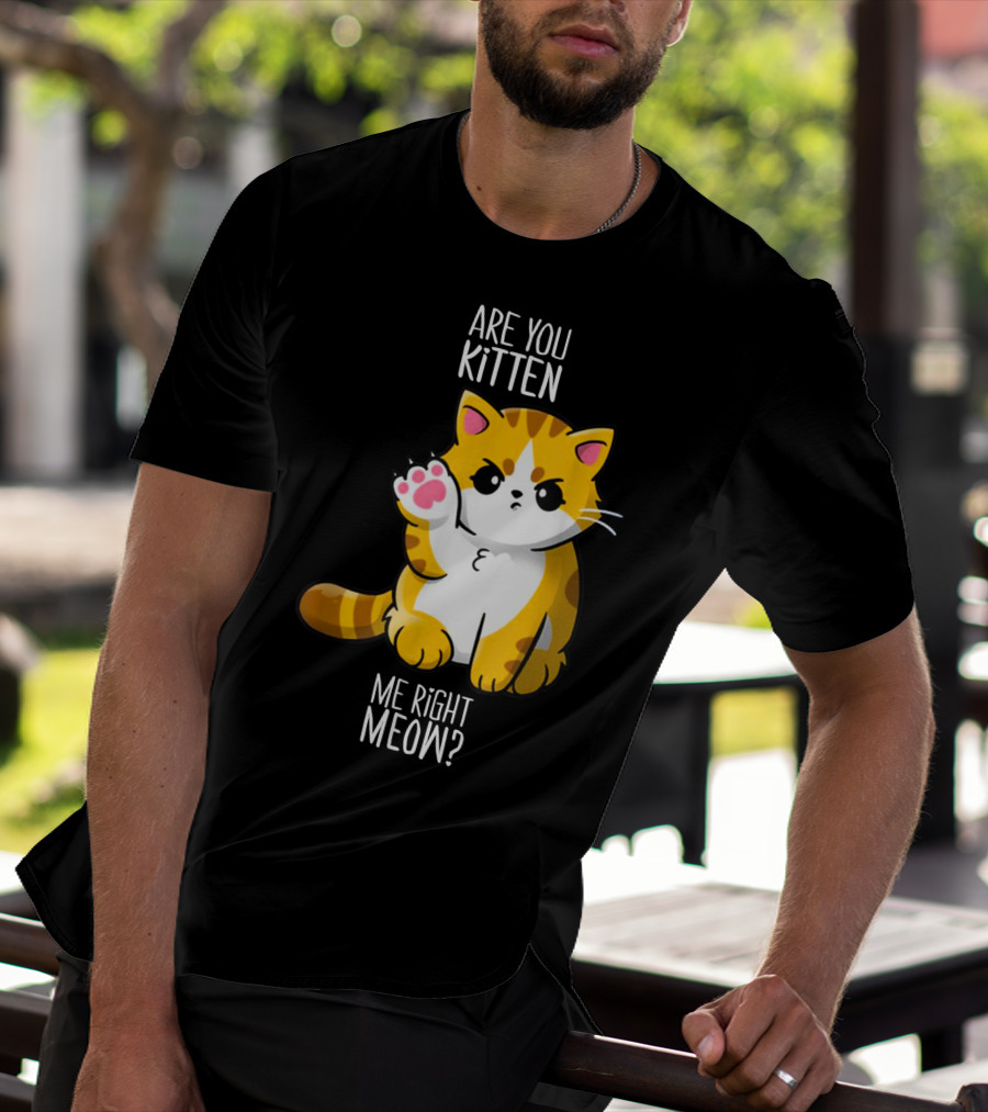 Are You Kitten Me Right Meow Cute Kitty T-Shirt