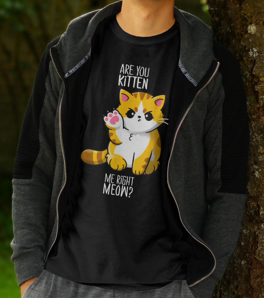 Are You Kitten Me Right Meow Cute Kitty T-Shirt