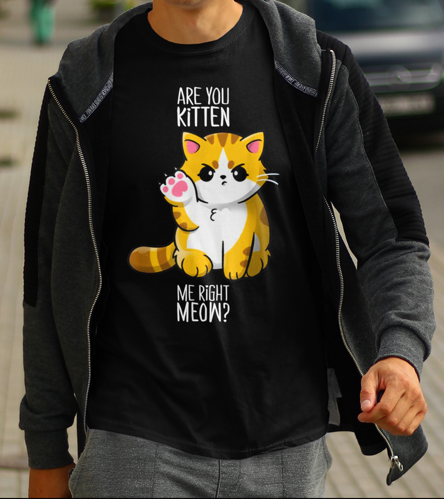Are You Kitten Me Right Meow Cute Kitty T-Shirt