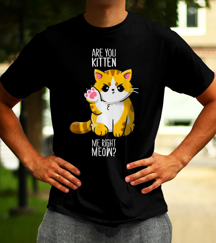 Are You Kitten Me Right Meow Cute Kitty T-Shirt