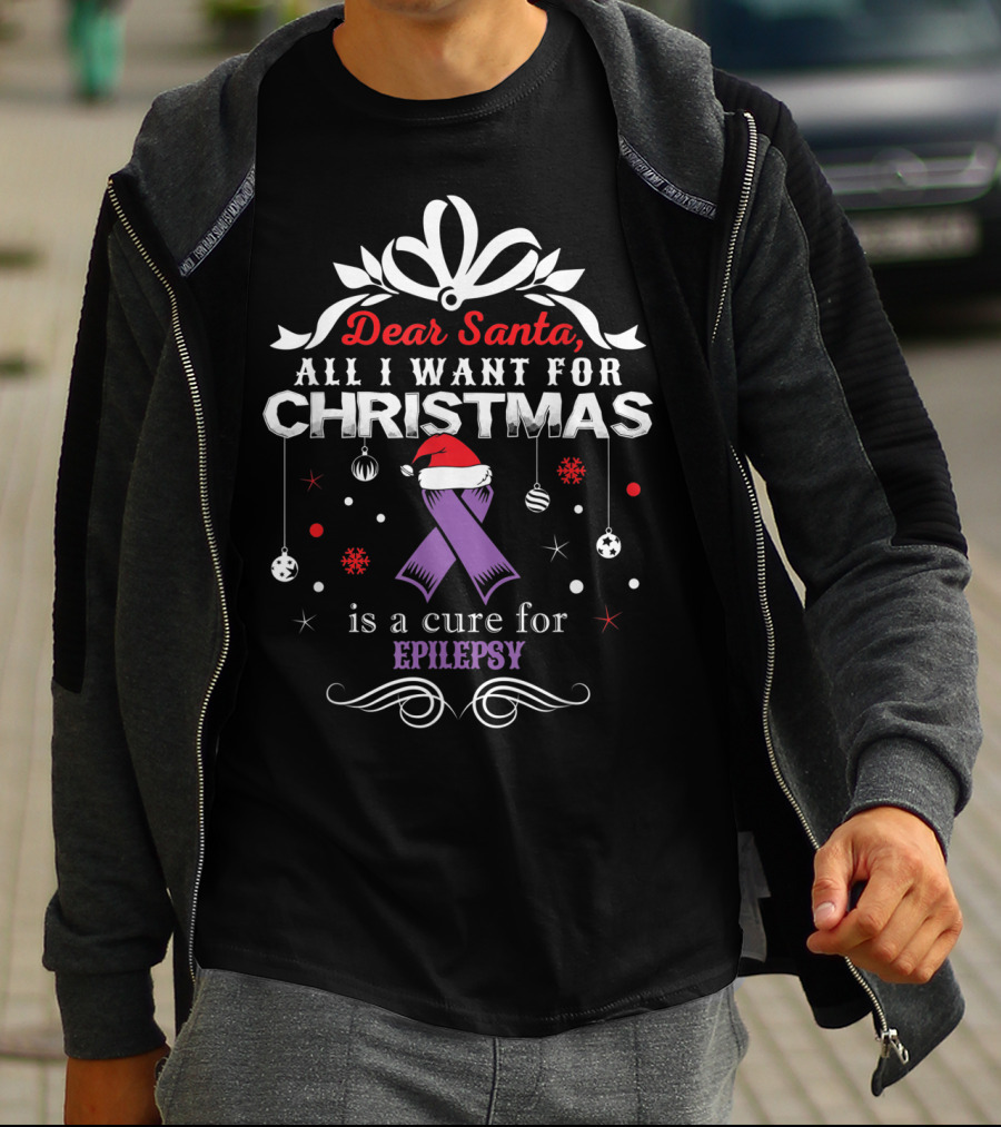 Dear Santa All I Want For Christmas Is A Cure For Epilepsy T-Shirt