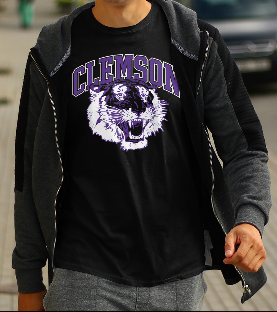 Clemson Tiger Vintage South Carolina Sports T-Shirt