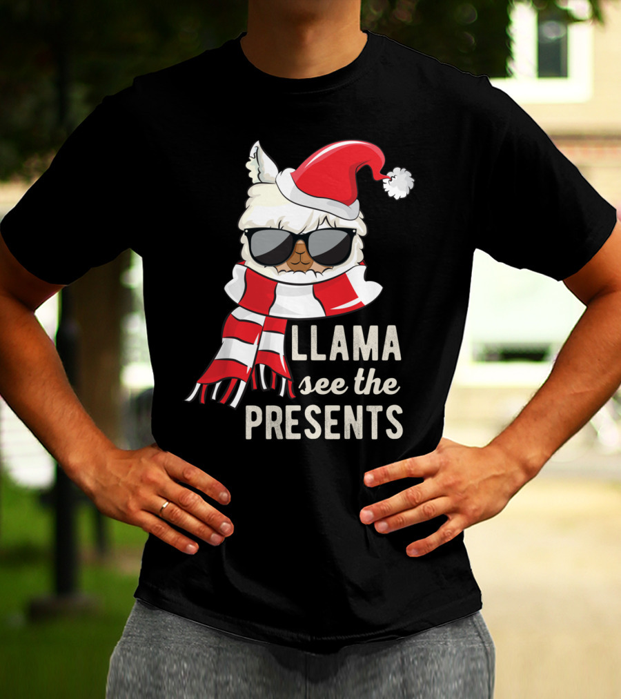 Llama See The Presents Funny Hat Xmas Alpaca Christmas Santa Scarf Sunglasses T-Shirt