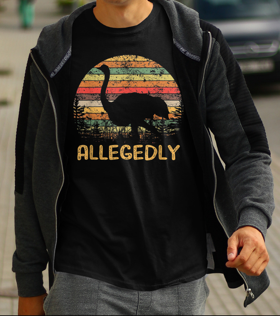 Allegedly Ostrich Vintage Sunset T-Shirt