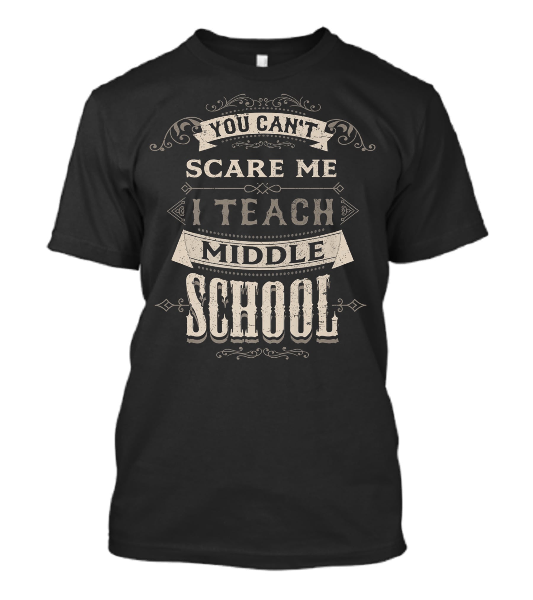 Confidently Facing Challenges: I Teach Middle School And I'm Not Afraid T-Shirt