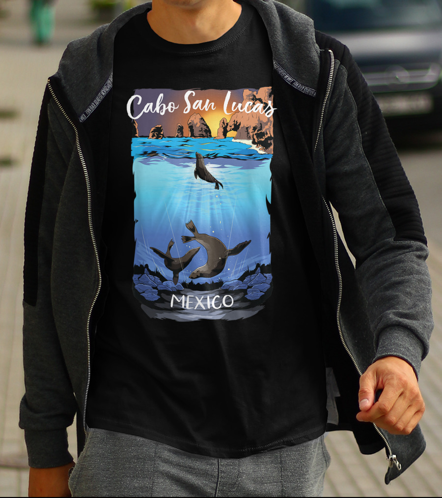 Cabo San Lucas Mexico Seals Ocean Rocks T-Shirt