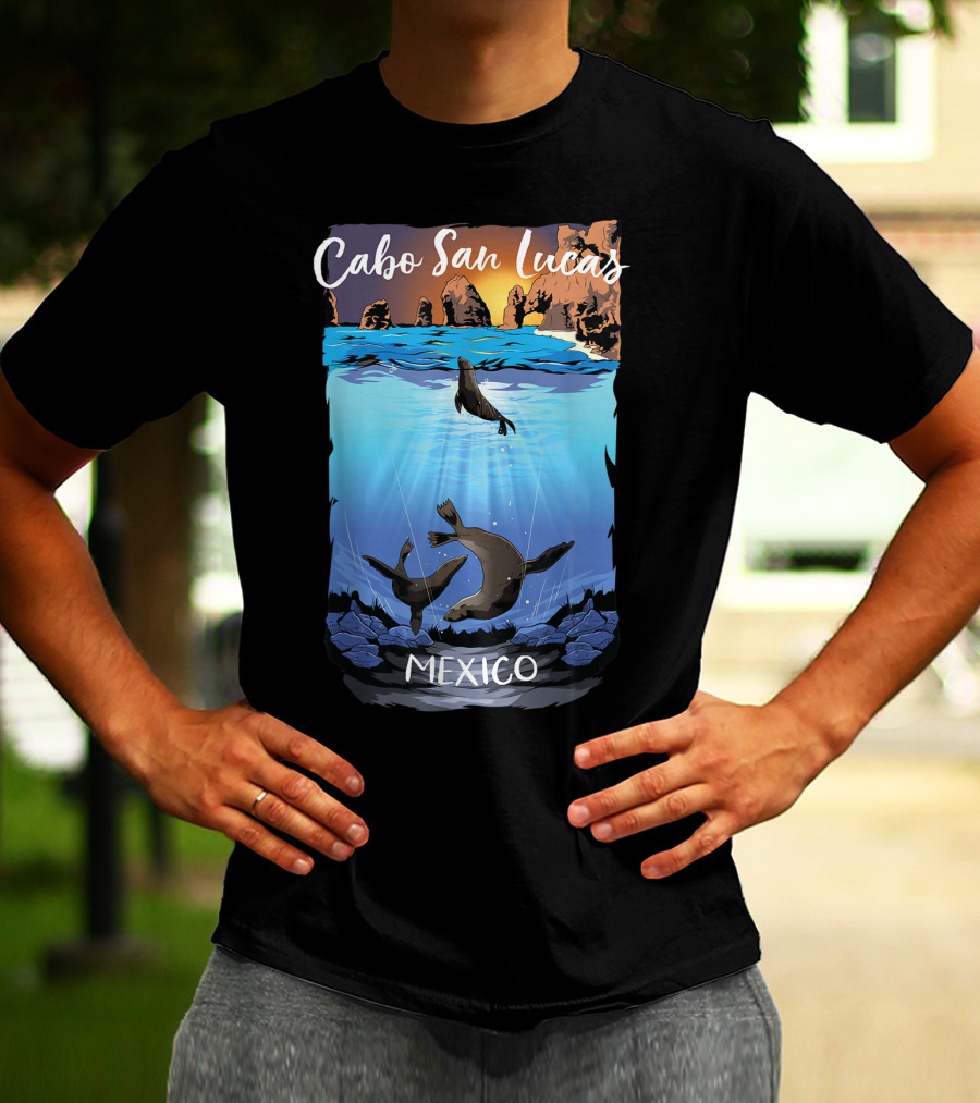 Cabo San Lucas Mexico Seals Ocean Rocks T-Shirt