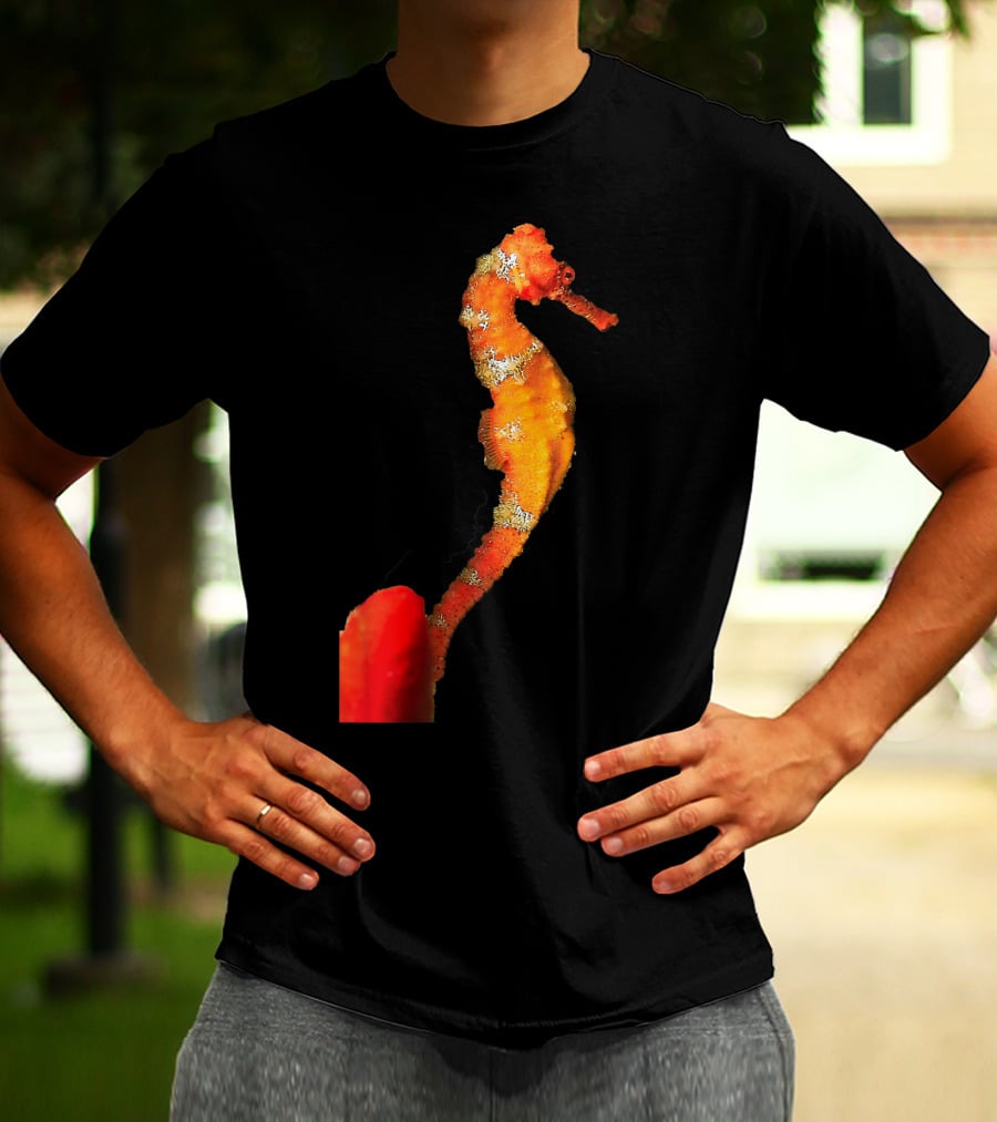 Beautiful Orange And Yellow Swimming Seahorse Figure T-Shirt