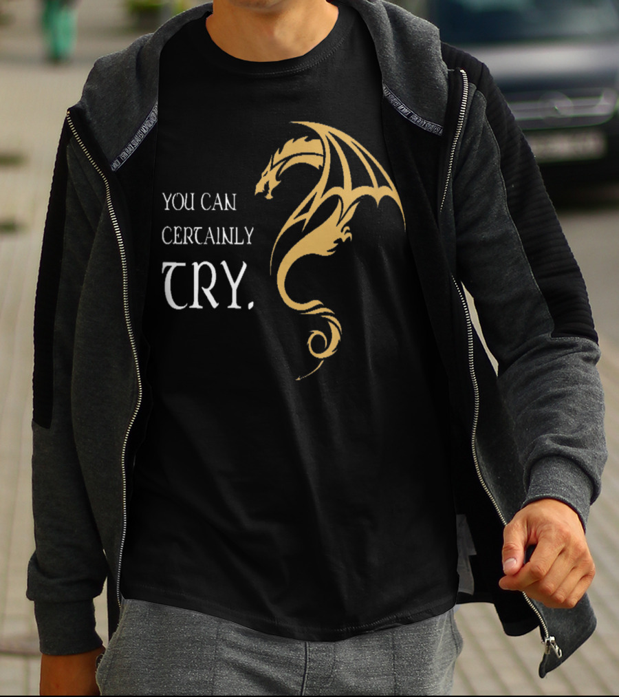 You Can Certainly Try Dragon Fire Dungeons Fantasy T-Shirt