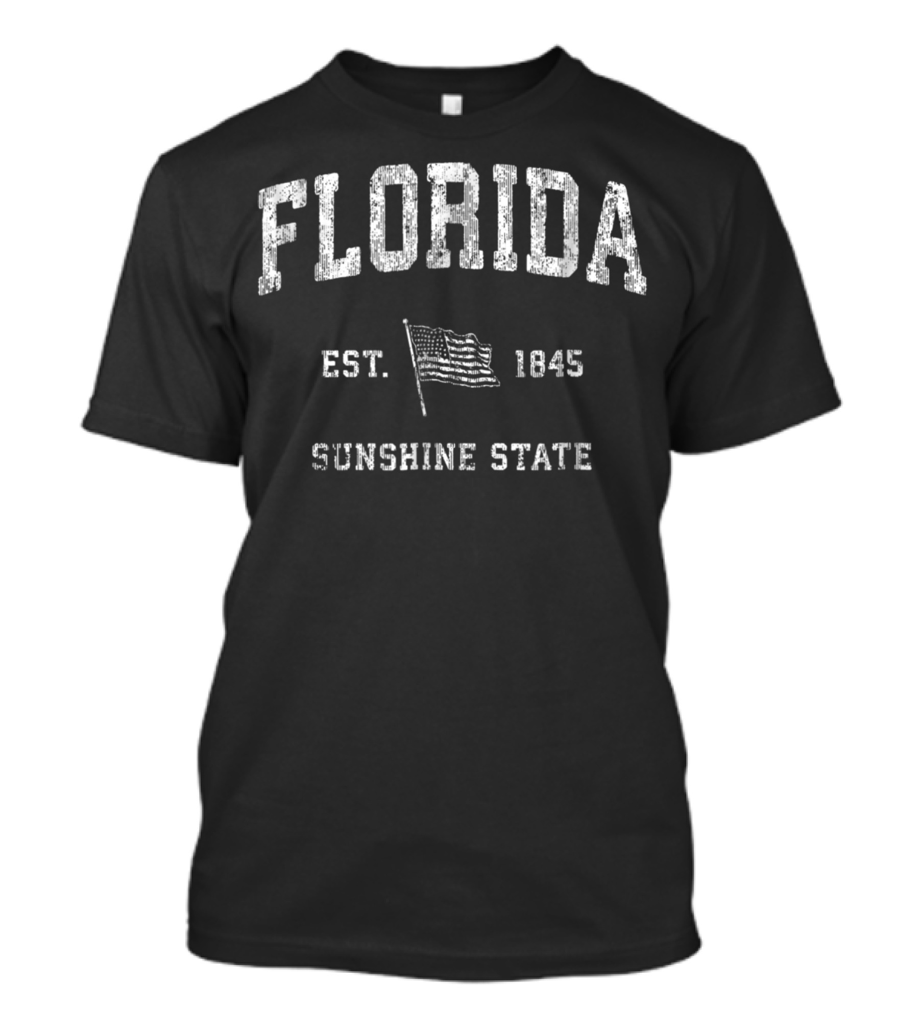 Florida Vintage US Flag Sunshine State Est. 1845 T-Shirt