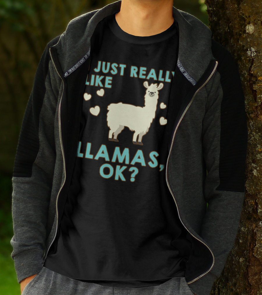 I Just Really Like Llamas OK Hearts Love T-Shirt