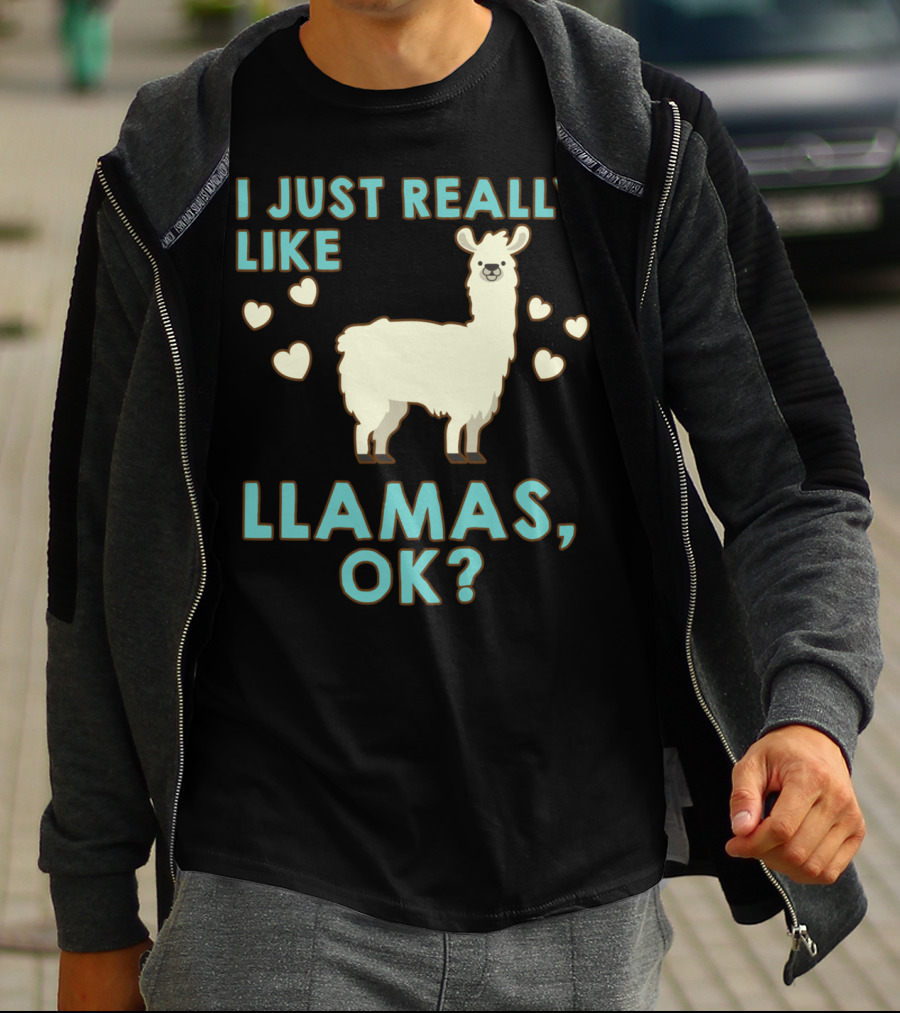 I Just Really Like Llamas OK Hearts Love T-Shirt