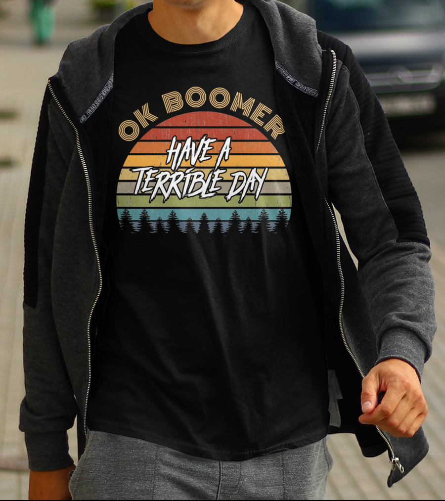 Retro Vintage Sunset Ok Boomer Have A Terrible Day T-Shirt