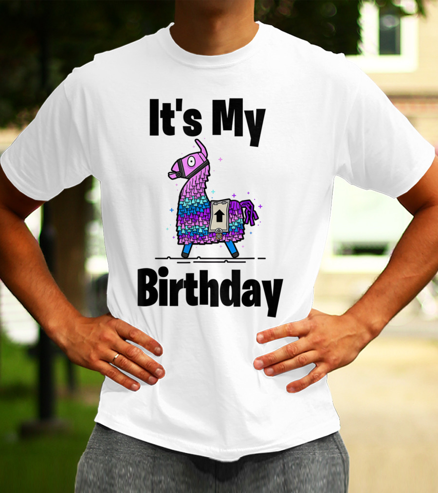 It's My Birthday Llama Purple Gamer Bday Gaming T-Shirt