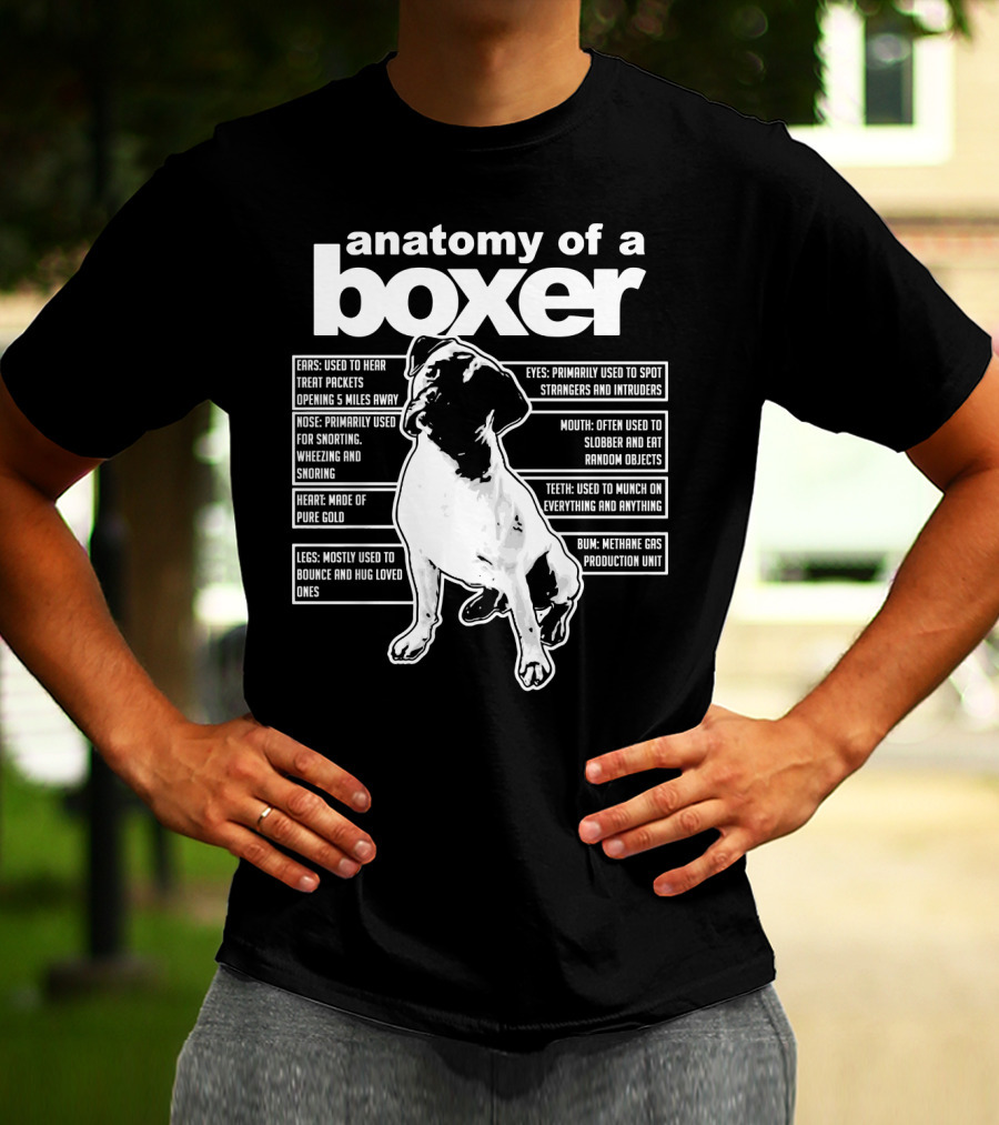 Anatomy Of A Boxer Funny Boxer With Ears Eyes Nose Mouth Heart Legs Teeth Bun T-Shirt